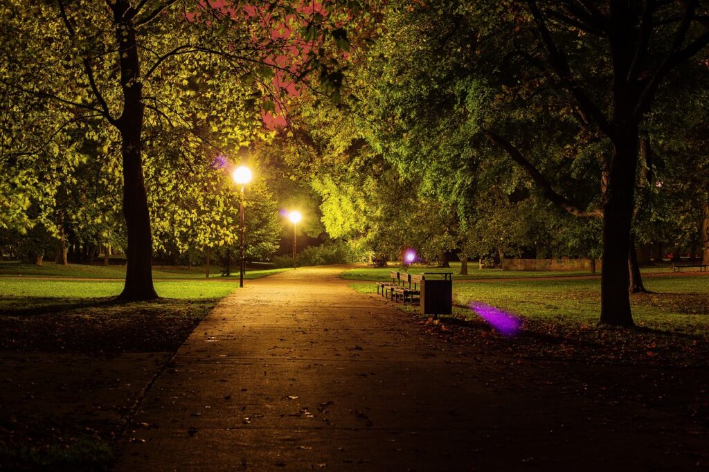 Path lit at night